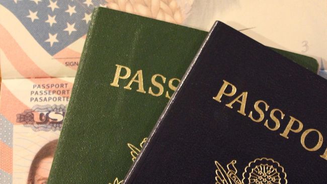Cara Persetujuan Visa Online Wajib Diketahui