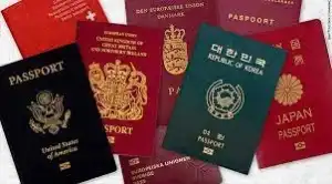 Paspor Indonesia