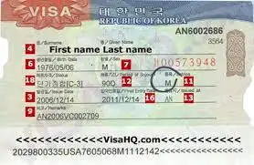 Visa Turis