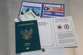 Fungsi visa