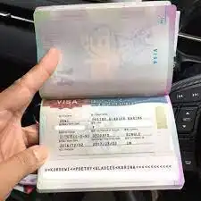 Jenis Pembayaran Visa