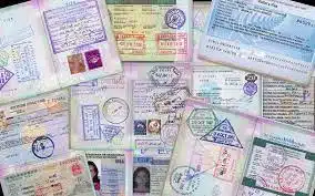 Jenis Visa Online Imigrasi
