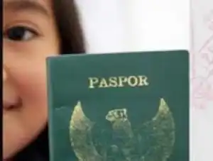 cek Paspor