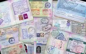 jenis visa