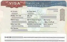 visa Multiple Entry