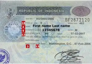 visa dinas