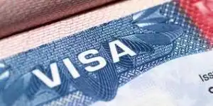 Syarat Membuat Visa Electronic