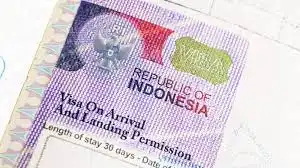 Visa Electronic