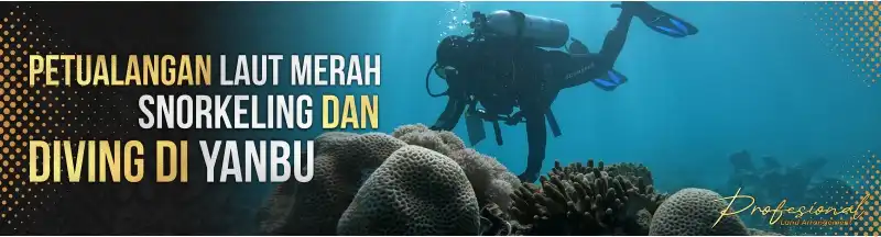 Petualangan Laut Merah Snorkeling dan Diving di Yanbu