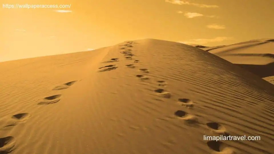 Thaif Adalah: 5 Jejak Bersejarah Dari Penolakan ke Pengakuan